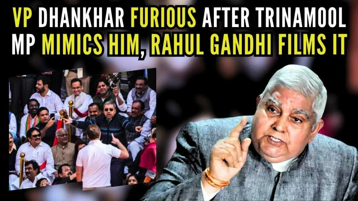 सांसदों द्वारा राष्ट्रपति जगदीप धनखड़ की नकल, पीएम मोदी ने कहा - यह दुर्भाग्यपूर्ण है