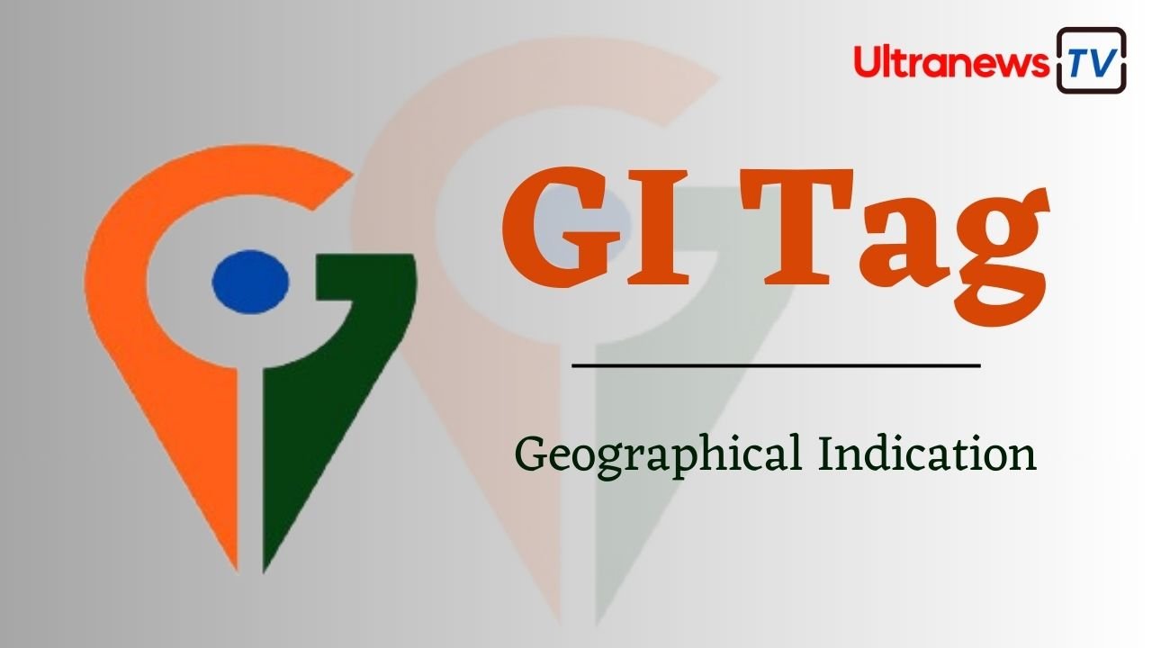 GI Tag: क्या होता है जीआई टैग? पूरी जानकारी पढ़ें