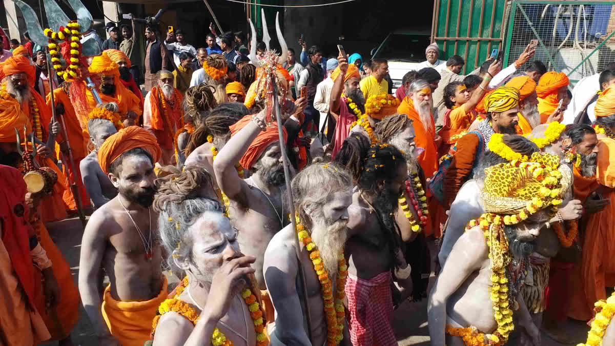 महाकुंभ 2025: अखाड़ों के प्रकार और उनकी विशेषताएँ - Types of Akhadas in Mahakumbh 2025