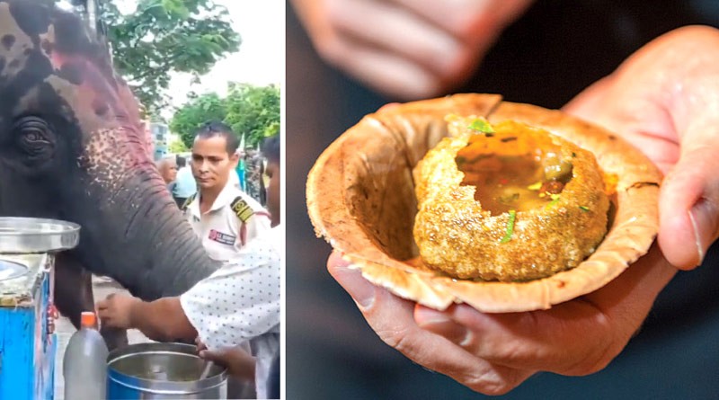 हाथी ने खाई पानीपुरी, वीडियो हुआ वायरल