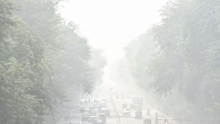 क्या दिल्ली एनसीआर में घने कोहरे के साथ आएगा ठण्ड का पीक ?