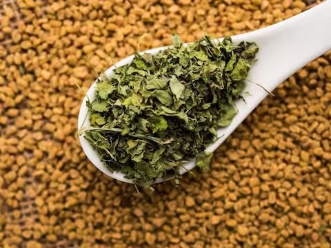 हरी मेथी को साल भर के लिए इस आसान तरीके से करें स्टोर