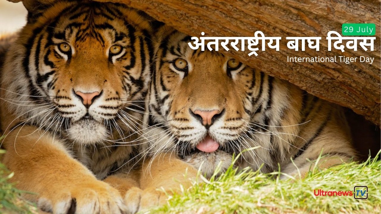 अंतर्राष्ट्रीय बाघ दिवस -  International Tiger Day: 29 जुलाई