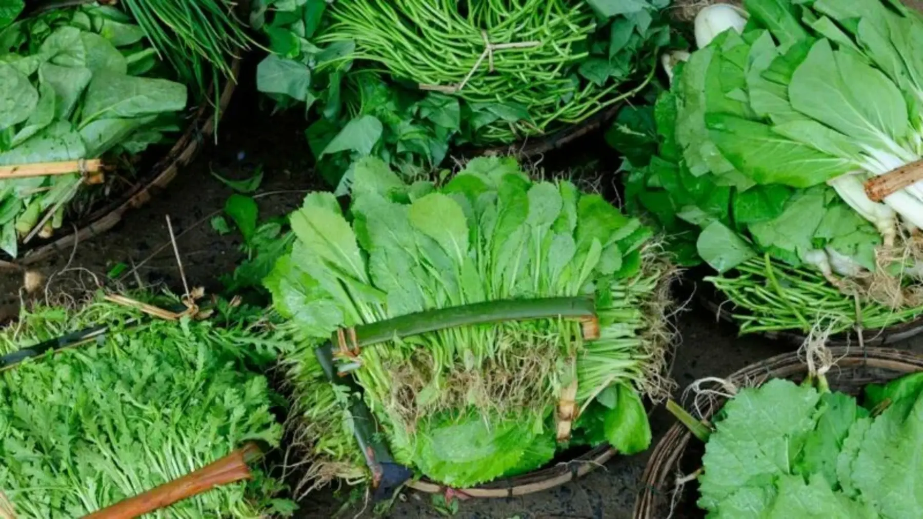 मानसून के दौरान आपको पत्तेदार सब्जियाँ खाने से क्यों बचना चाहिए?