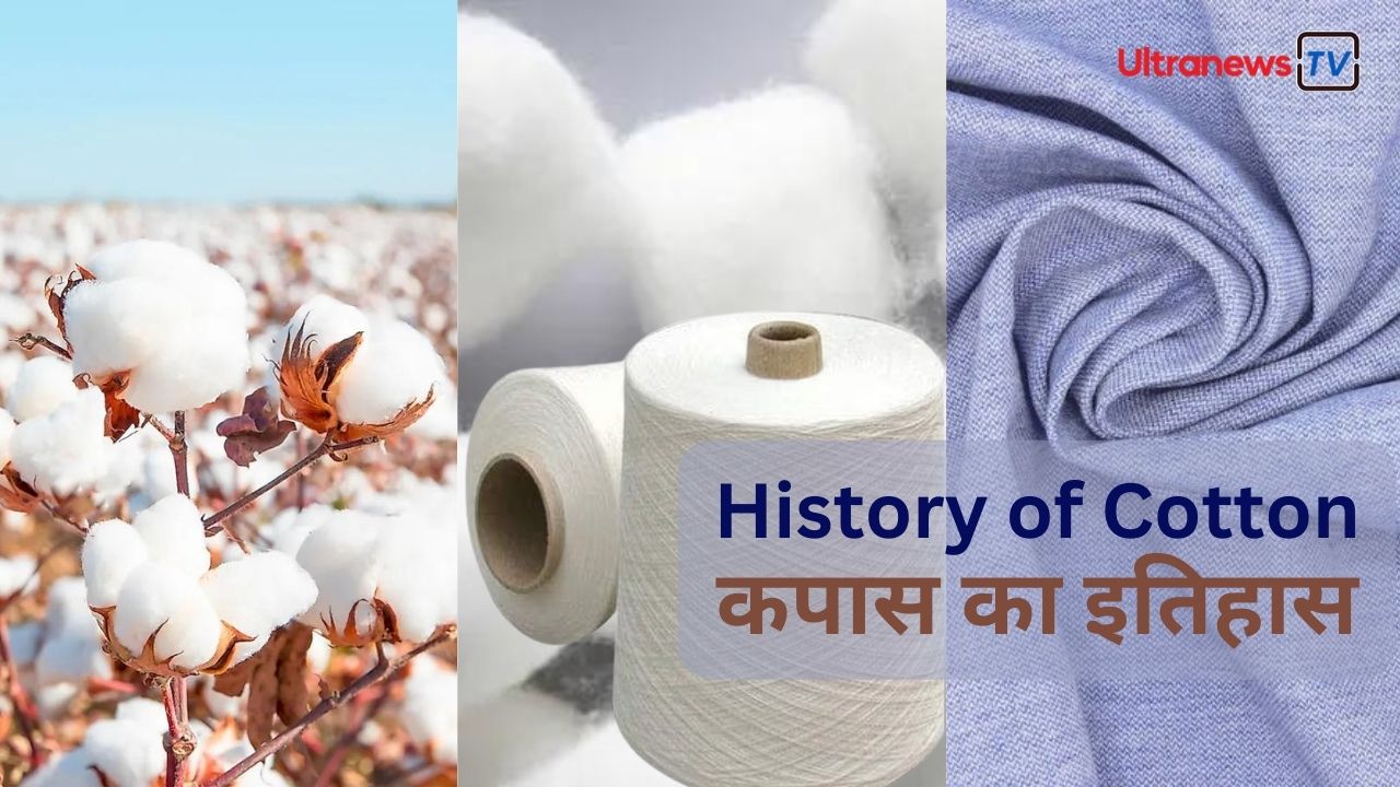 विश्व कपास दिवस / World Cotton Day (7 अक्टूबर) पर जानें कपास के इतिहास के बारे में