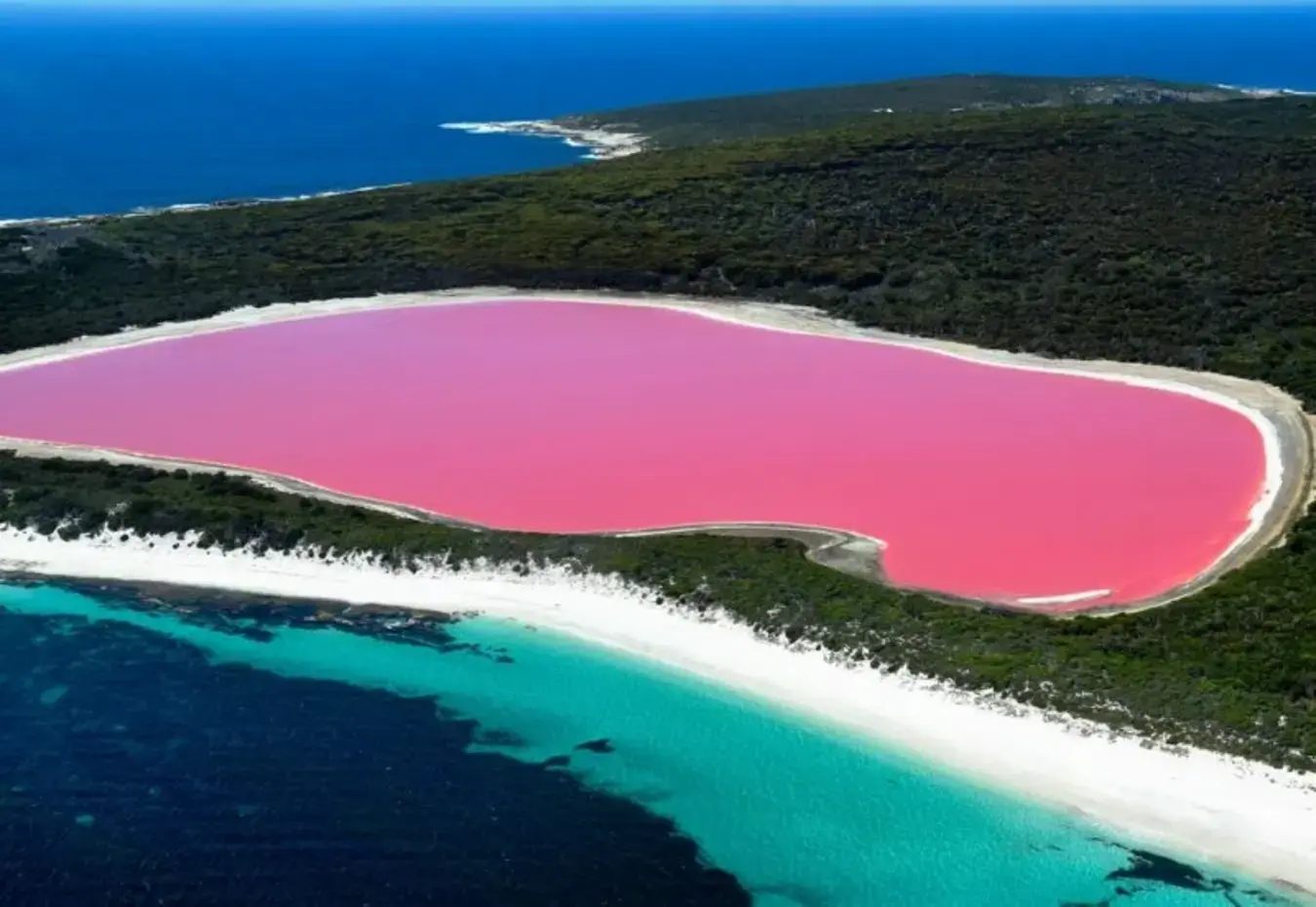 गुलाबी झील (Pink Lake) के बारे में क्या खास है? जानिए इससे जुड़े रोचक तथ्य