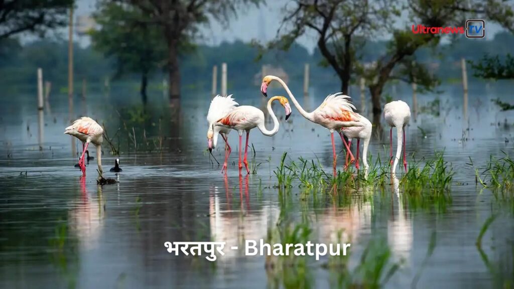 Bharatpur