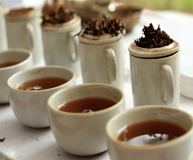 सिक्किम चाय  (Sikkim Tea)