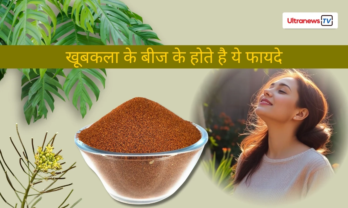 खूबकला के बीज के होते है ये फायदे, जाने सेवन का तरीका