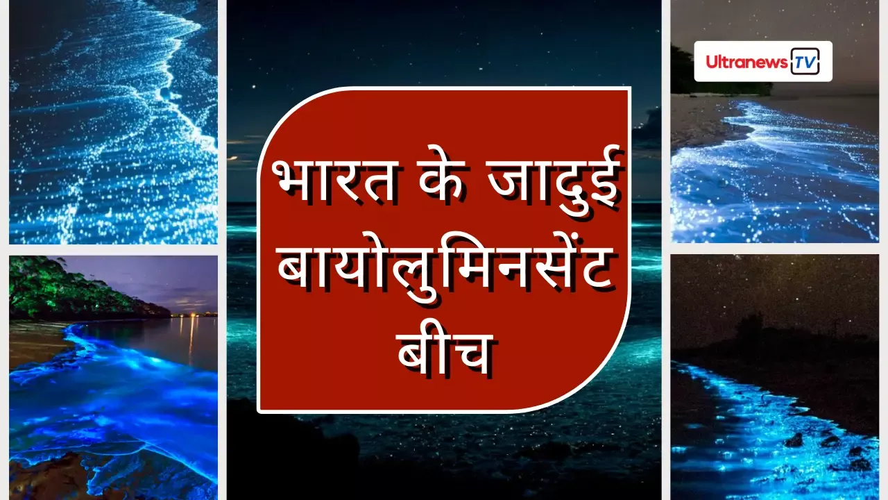 भारत के जादुई बायोलुमिनसेंट बीच: जहाँ रात में चमकता है समुद्र