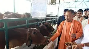 India's first cow culture museum to open in Mathura