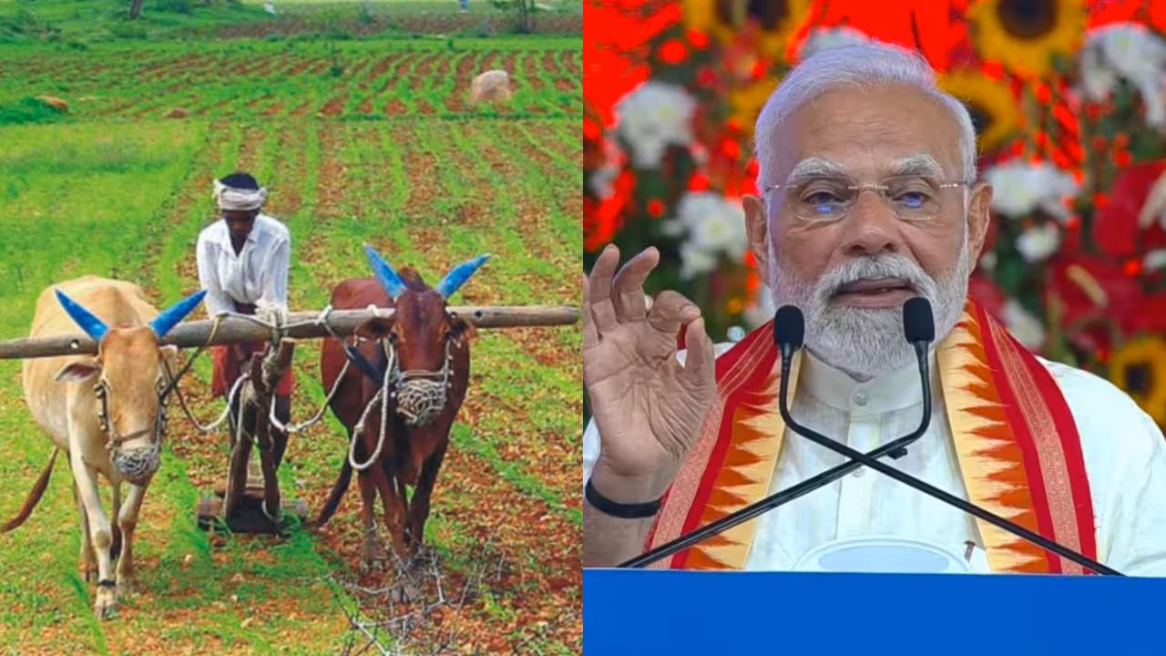 Indian Farmer in the left and Narendra Modi on the Right