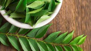 Curry Leaves Burn Belly Fat