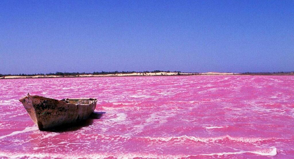 Pink Lake in Australia What Is Special about Pink Lake? Know Interesting Facts Related to It