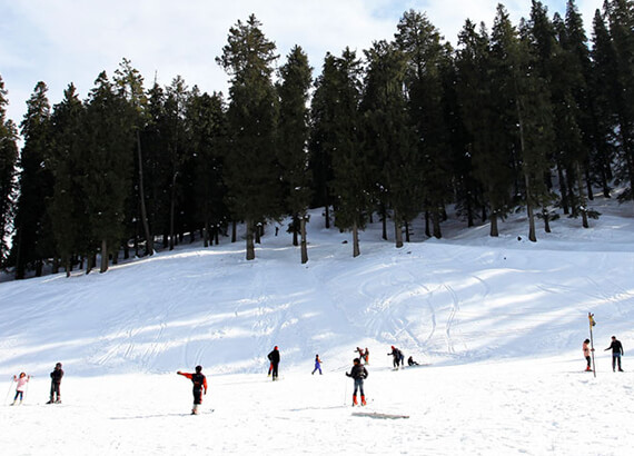 Narkanda Visit Snowfall Places in December