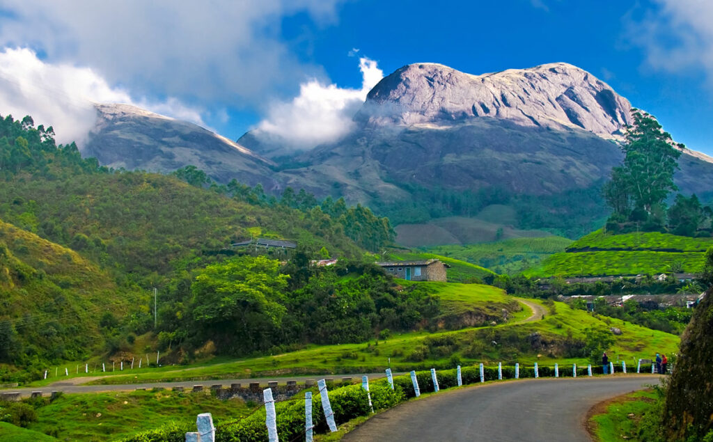 Munnar Solo Trips for Women on Women's Day 2024