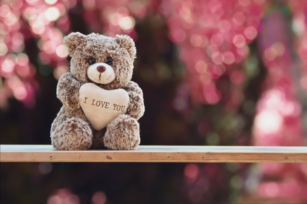 teddy day Valentine's Day: Know All the Days of Valentine’s Week - 11th February Promise Day