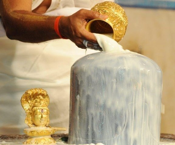 Raw Milk Offerd to Shivaling Mahashivratri 2024: Why Raw Milk Offered to Shivaling?